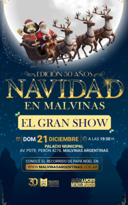 Banner Navidad en Malvinas 2025 300 x 500 px Banner Navidad en Malvinas 2025 300 x 500 px